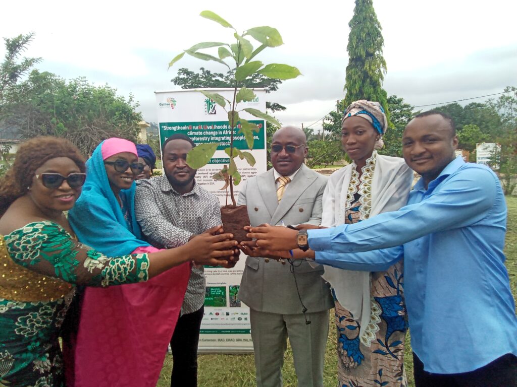 IMG_20250422_103402_972 - Αντιγραφή