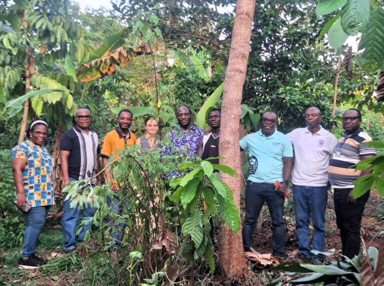 Screenshot 2025-05-19 111942