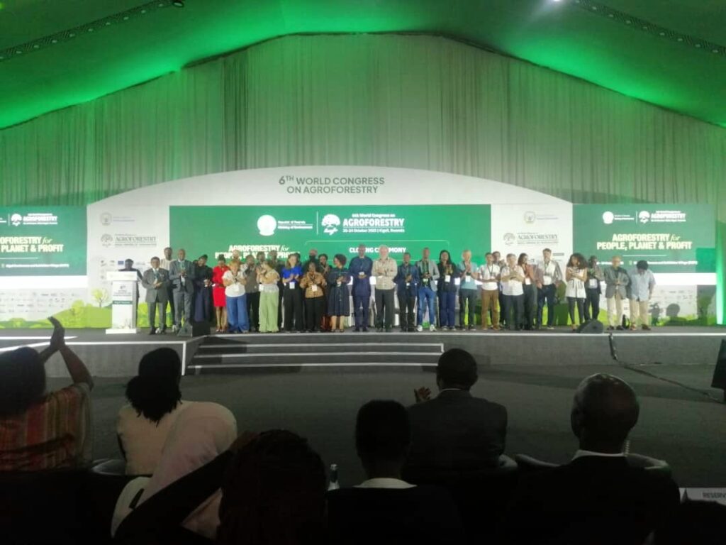 WhatsApp Image 2025-11-04 at 16.32.04